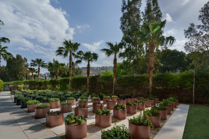 Liberty-Hospitality-Group-Karbon-Salinimi-2 Liberty Hospitality Group Karbon Salınımı
