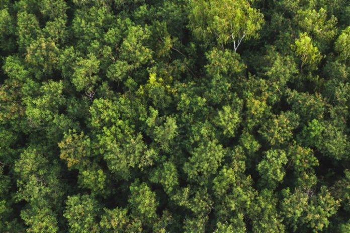 1722934824-Samsung-ESG-Sustainability-Report-main1-2 Samsung Electronics Sürdürülebilirlik Raporu