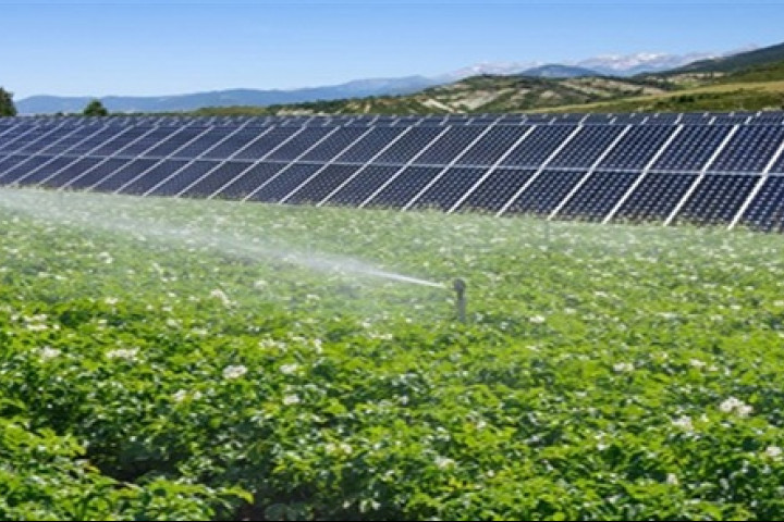 tarim-ve-gunes-enerjisi-2 tarım ve güneş enerjisi