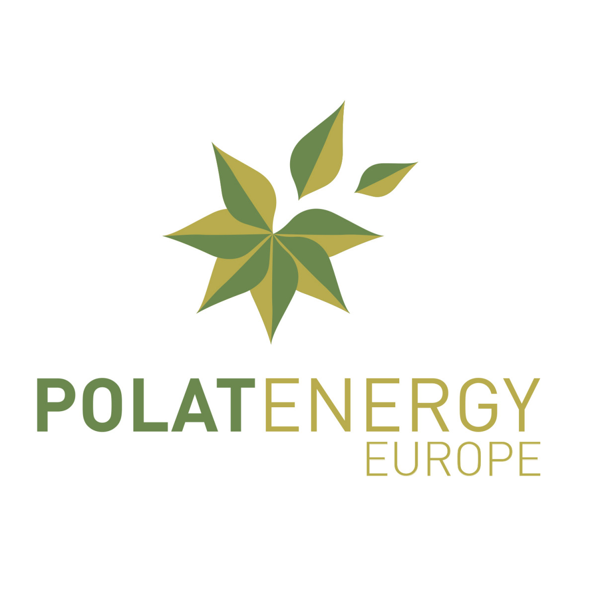Polat Energy Europe Polat Energy Europe