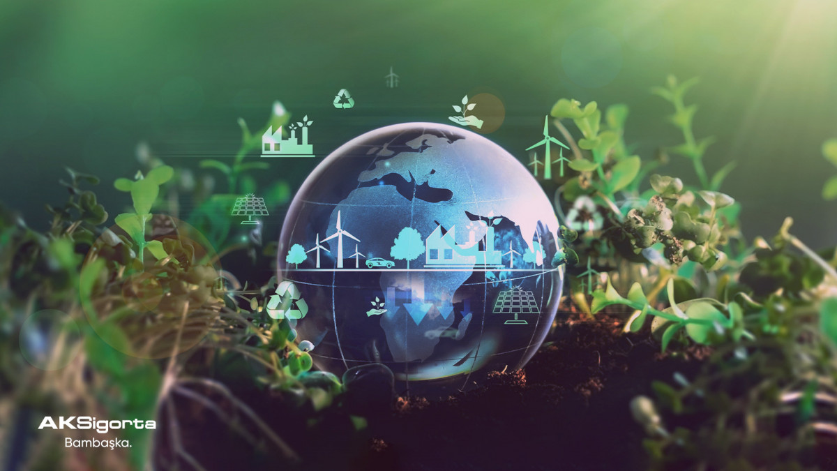 Aksigorta TCFD Raporu