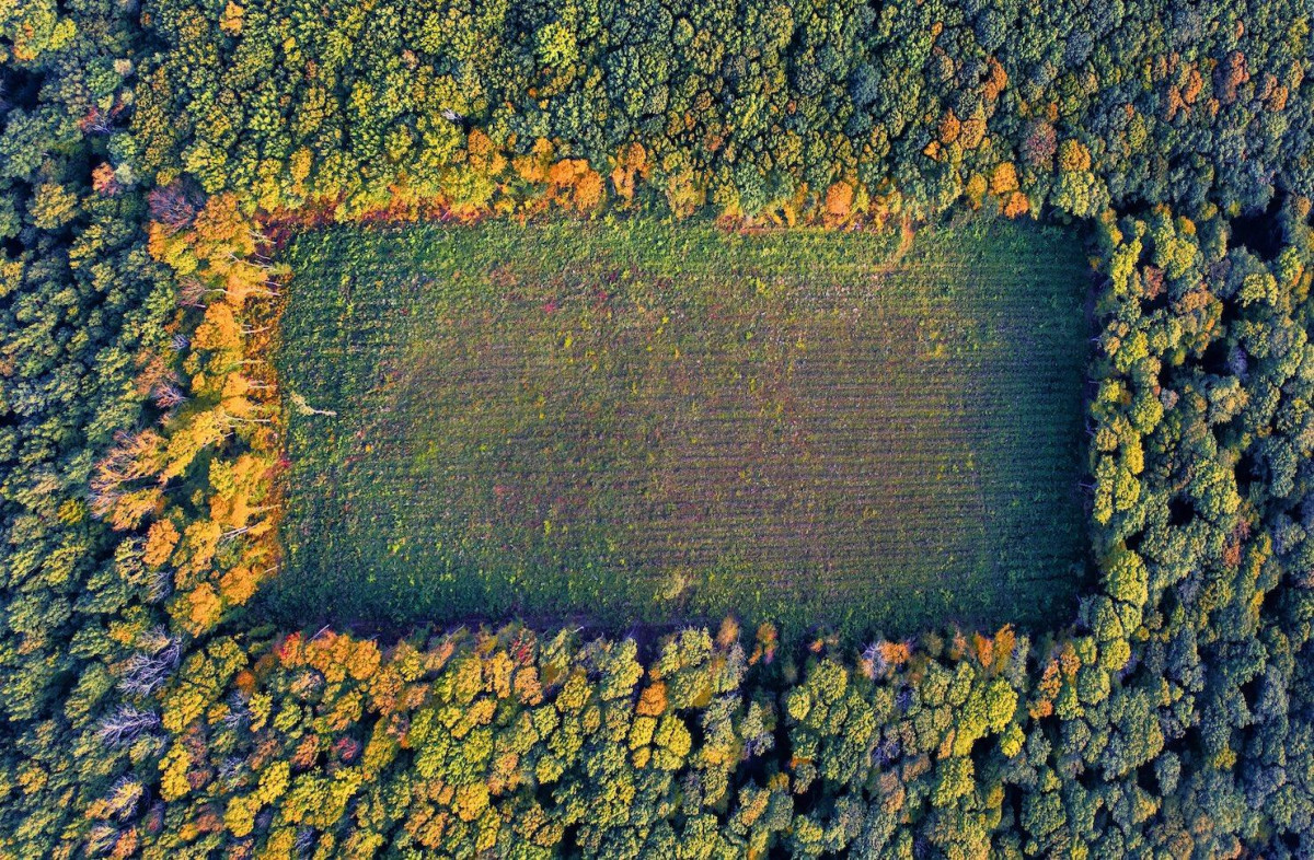 Biyoçeşitlilik Raporlama Standardı