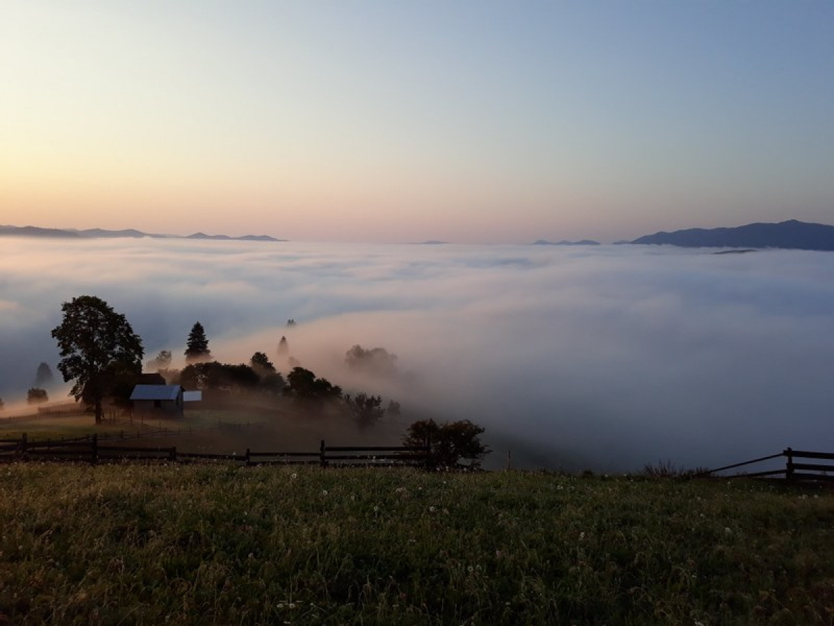 Çevre Eylem Programı