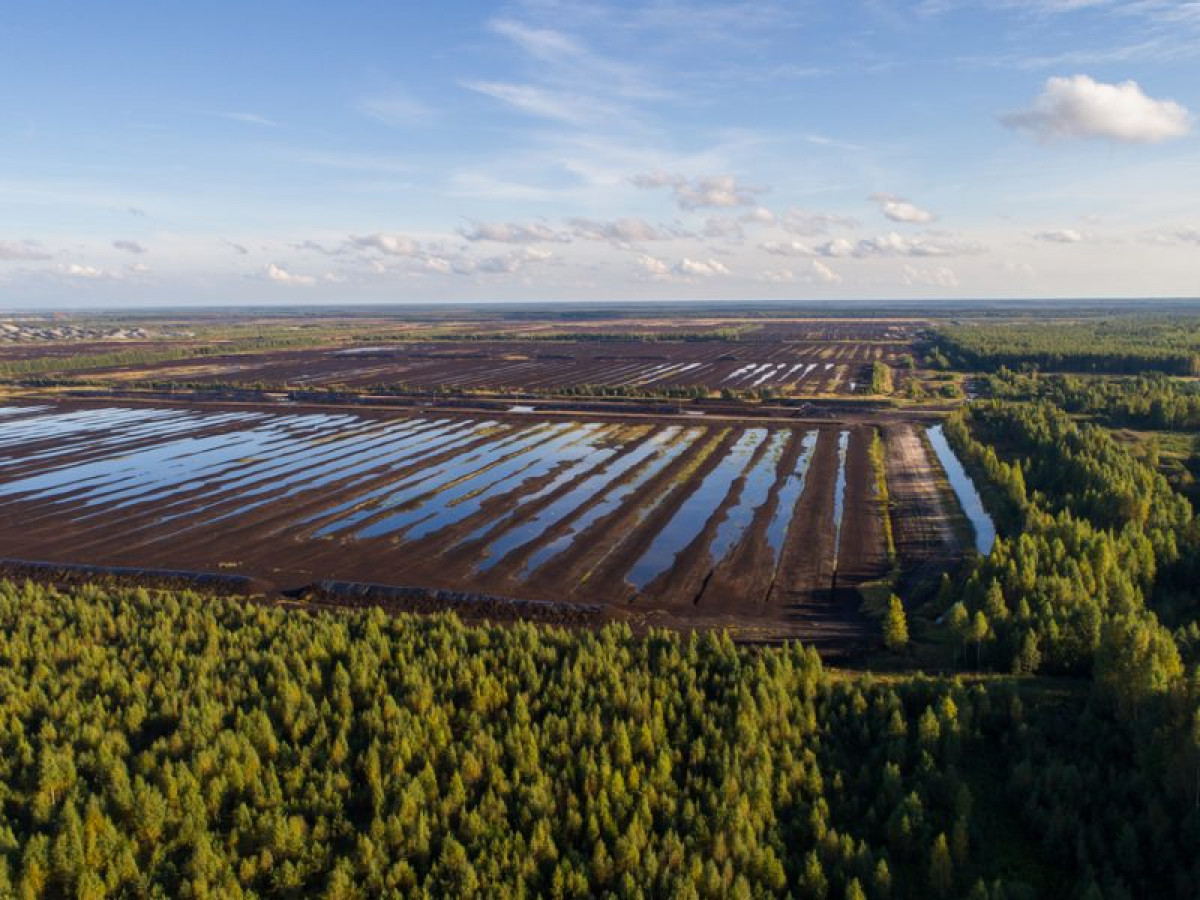 Doğa Restorasyon Yasası Doğa Restorasyon Yasası