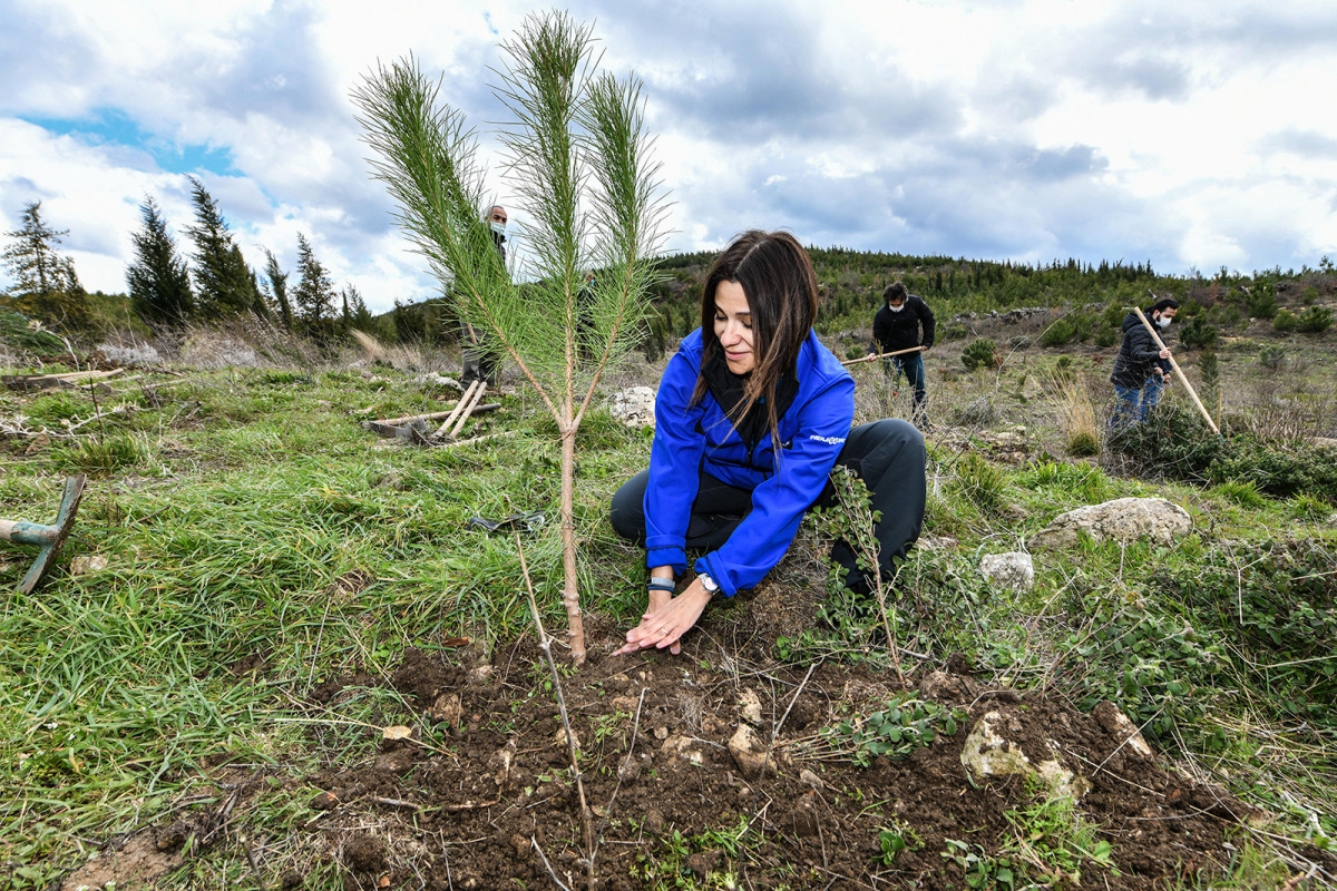Enerjisa Üretim fidan dikimi Enerjisa Üretim fidan dikimi