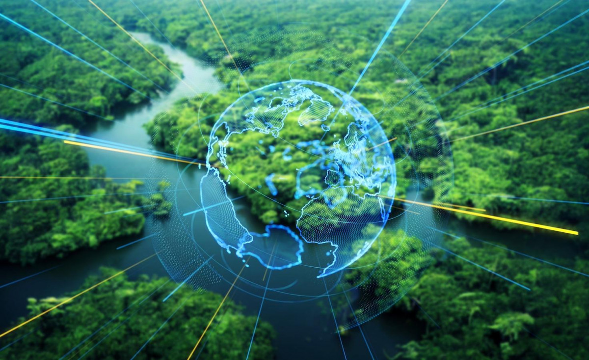 Finans Sektörü Finans Sektörü