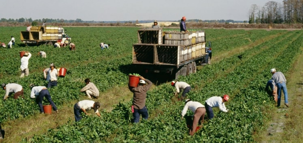 Gıda Krizi Raporu Gıda Krizi Raporu