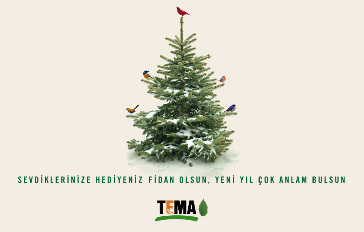 TEMA Vakfı fidan