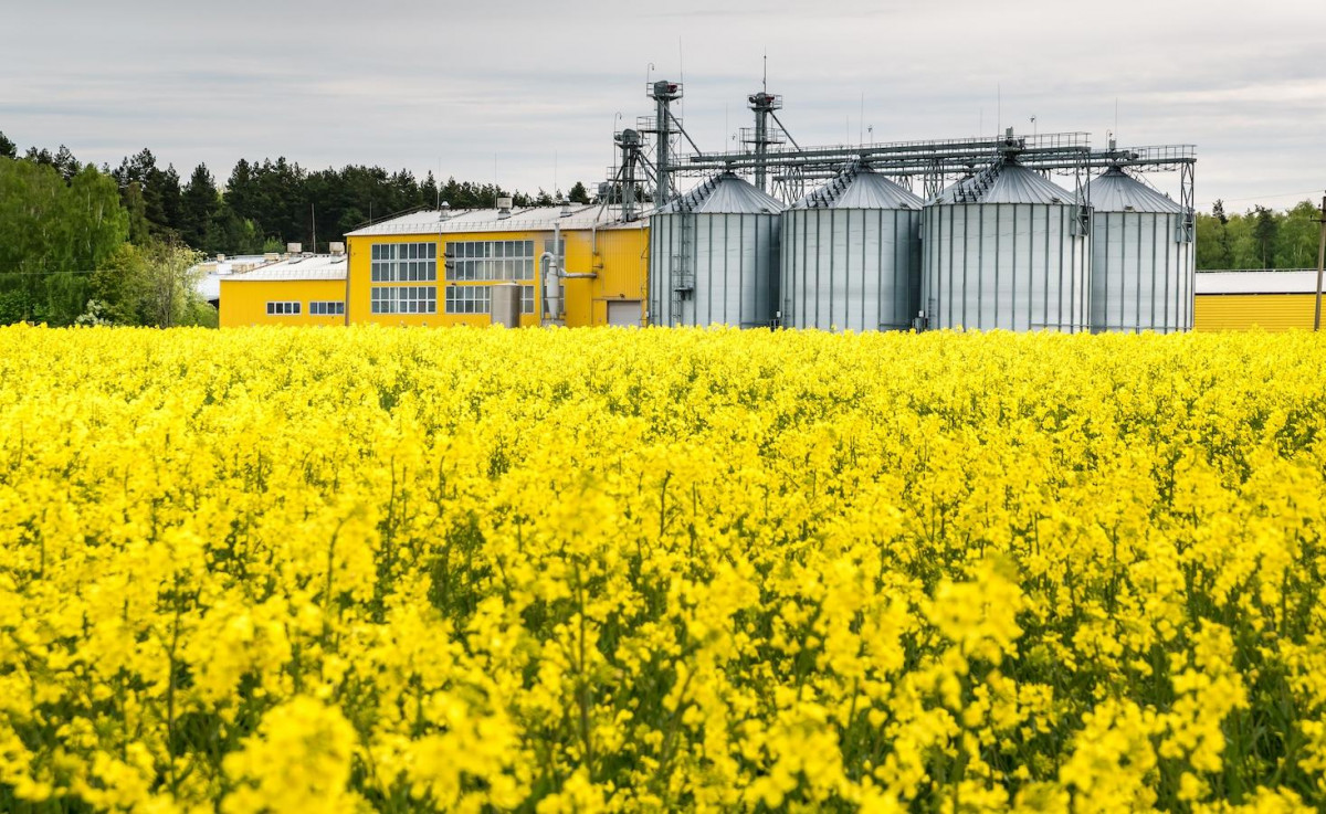 Tarımsal Gıda Teknolojisi