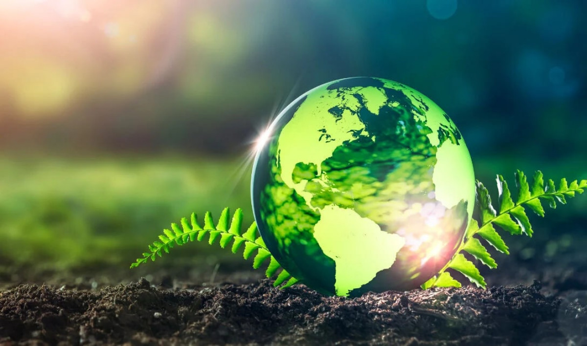 Yeşil bir dünya ve yaprak