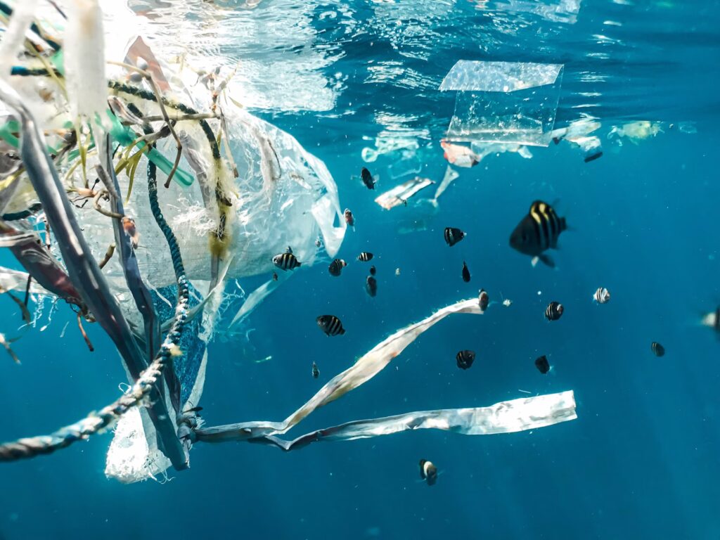 Plastik Atıklar