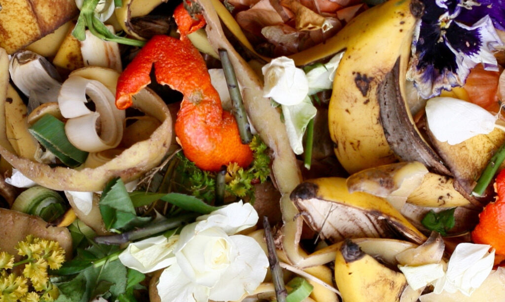 meyve sebze atıklarından organik gübre üretimi