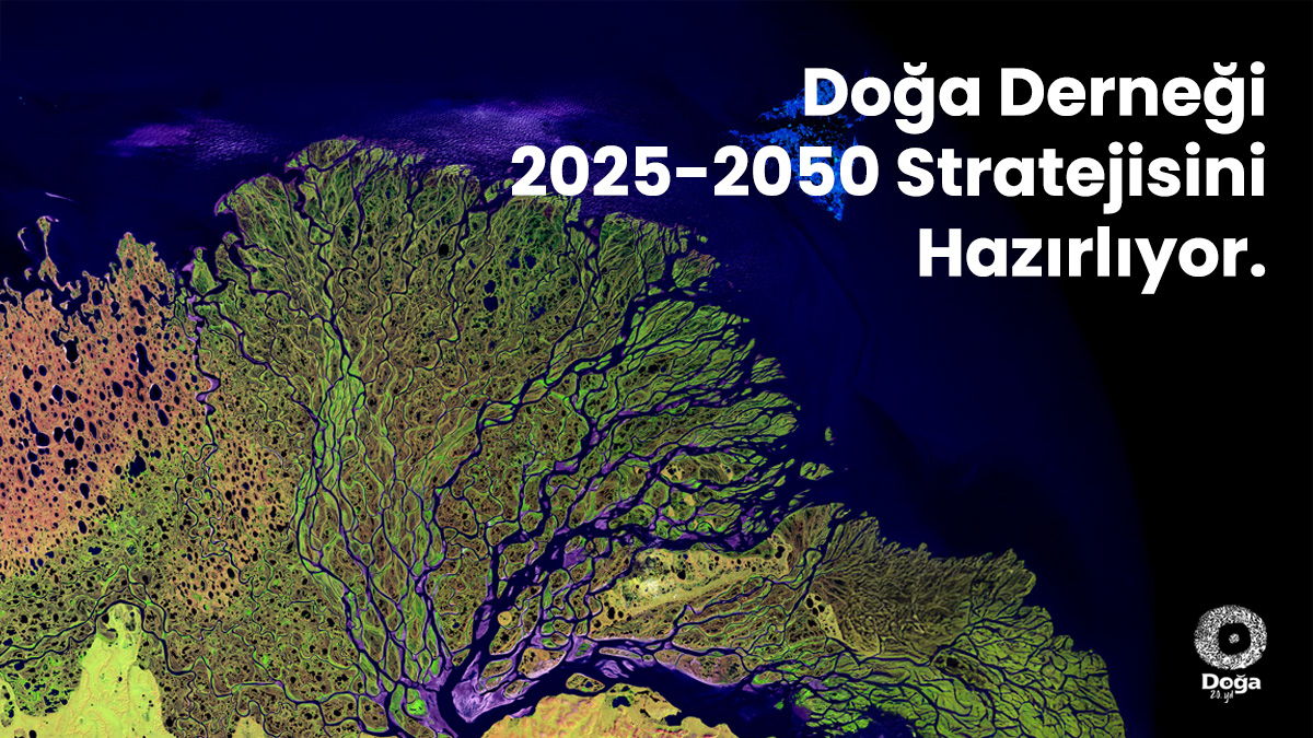 Doğa Derneği’nden 2025-2050 Stratejisi