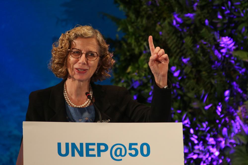 UNEP Yönetici Direktörü Inger Andersen