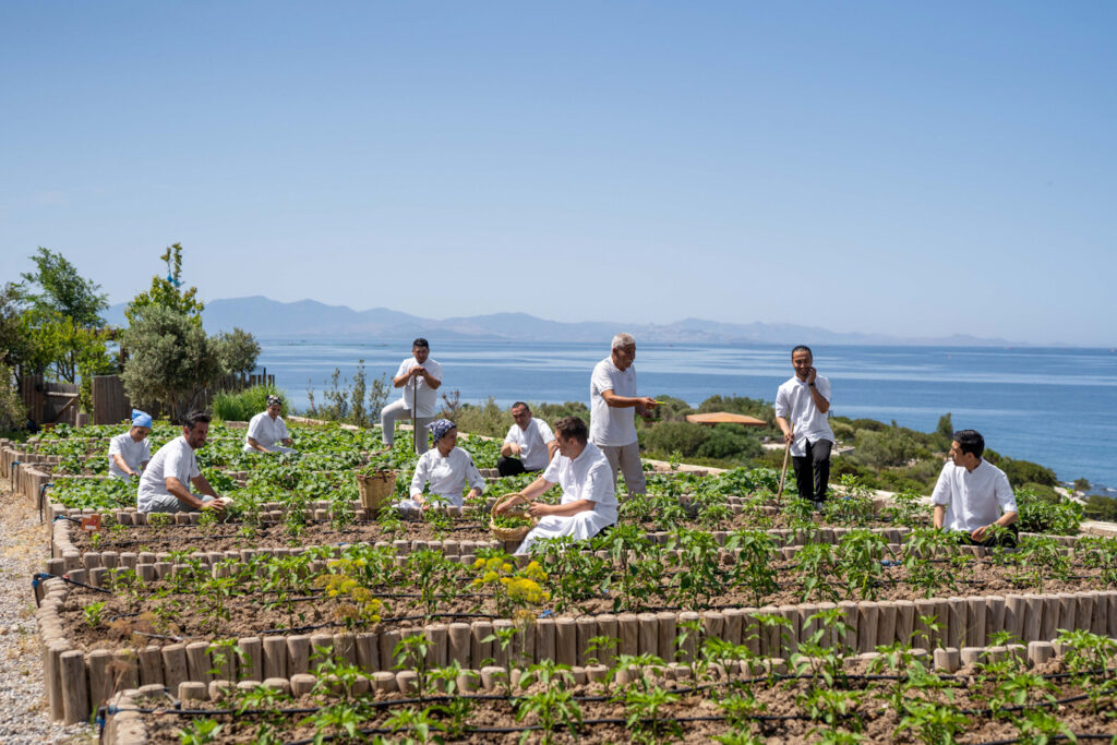 1741589563_ORGANIKBAHCE_1_edited Six Senses Sürdürülebilirlik Organik Bahçe