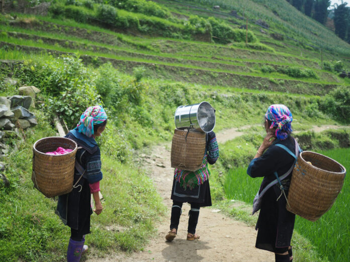 kadınlar un women -aid - usaid