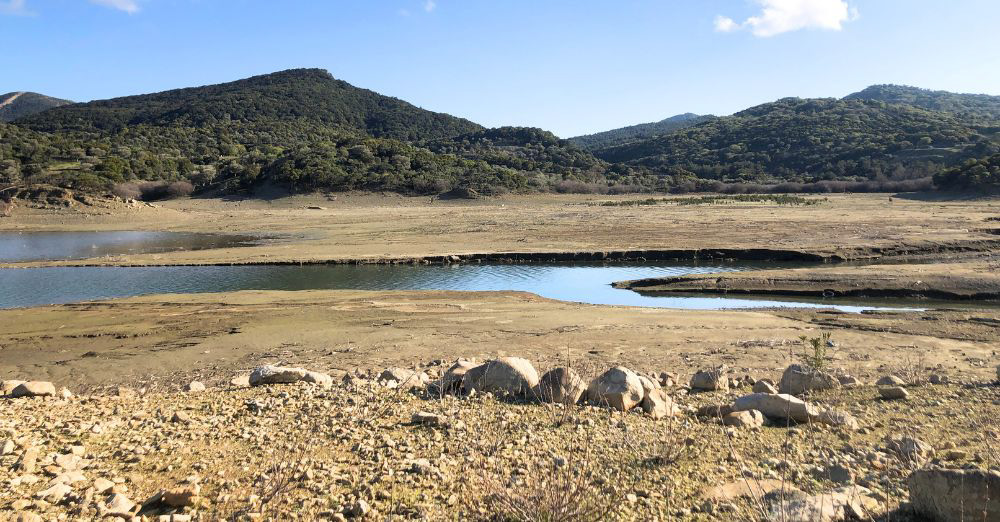 Buğday Derneği-Kuraklık makalesi