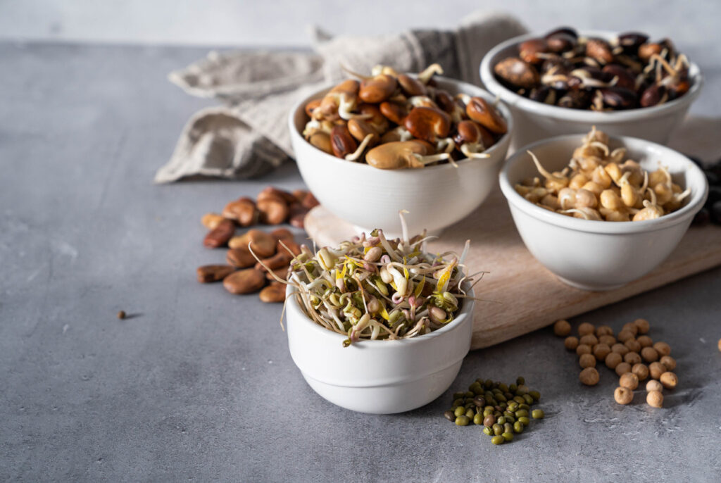 Duru-bakliyat filizlendirme