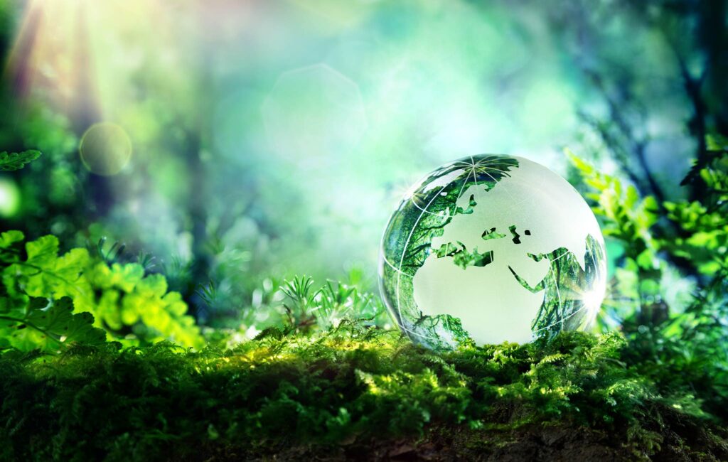 sustainability-istock-473558826 Sürdürülebilirliğin geleceği...