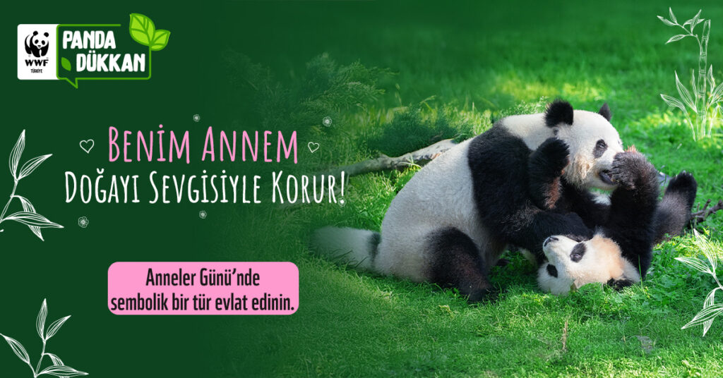 WWF ANNELER GÜNÜ 2025