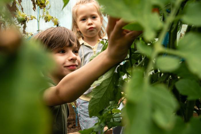 ecosySTEM Eğitim Merkezi