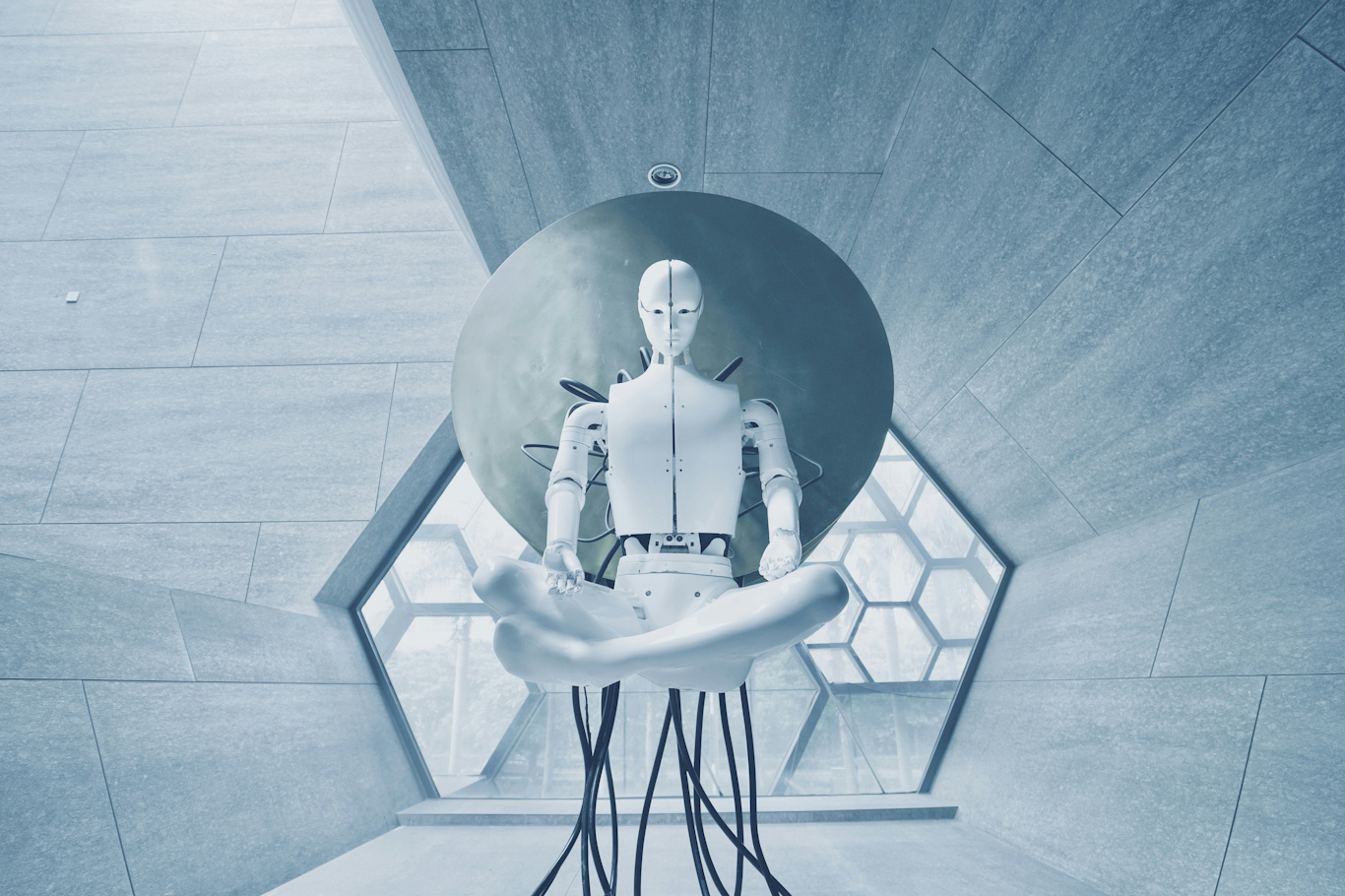 Balık Yemiyle Çalışan Yenilebilir Robot Geliştirildi
