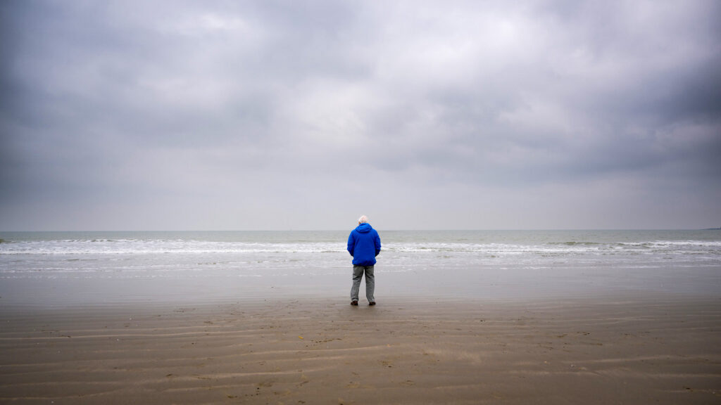 David Attenborough ile Okyanus