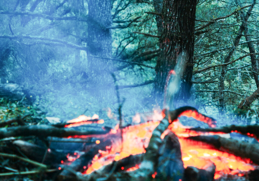 Orman yangınları - 2025