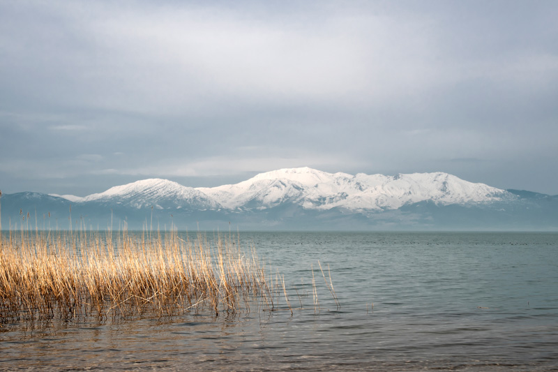 Doğa Derneği-Konya Havzası