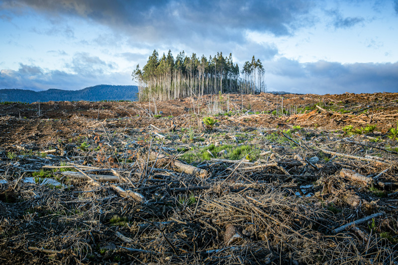 İklim Krizi-Küresel Isınmanın Sonuçları