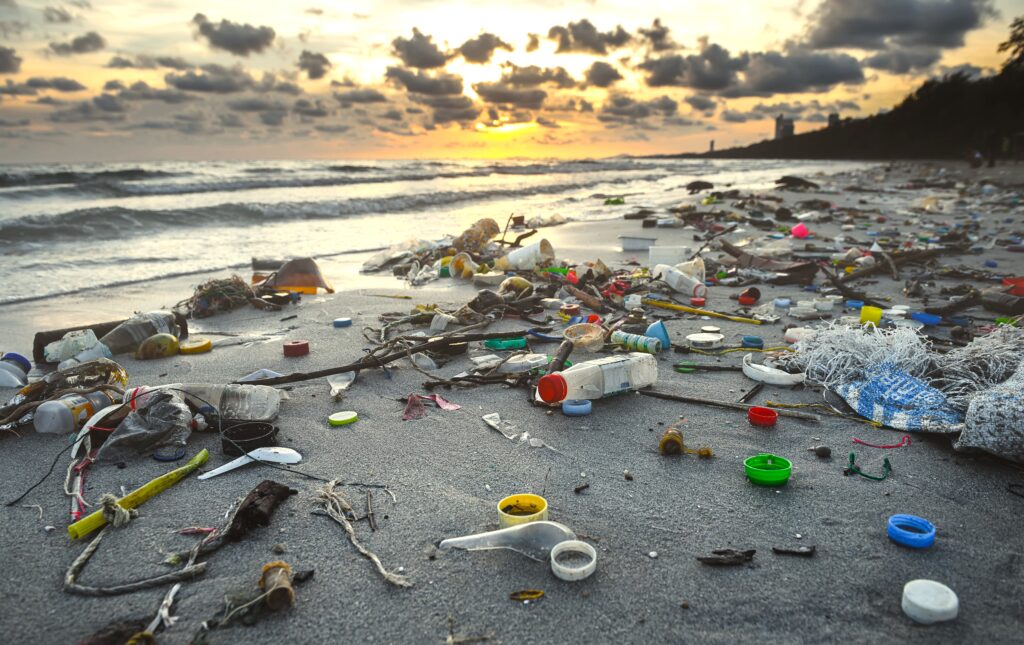 Plastik Kirliliği