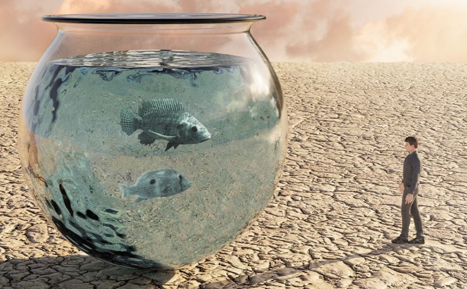 Dünya genelinde su krizi