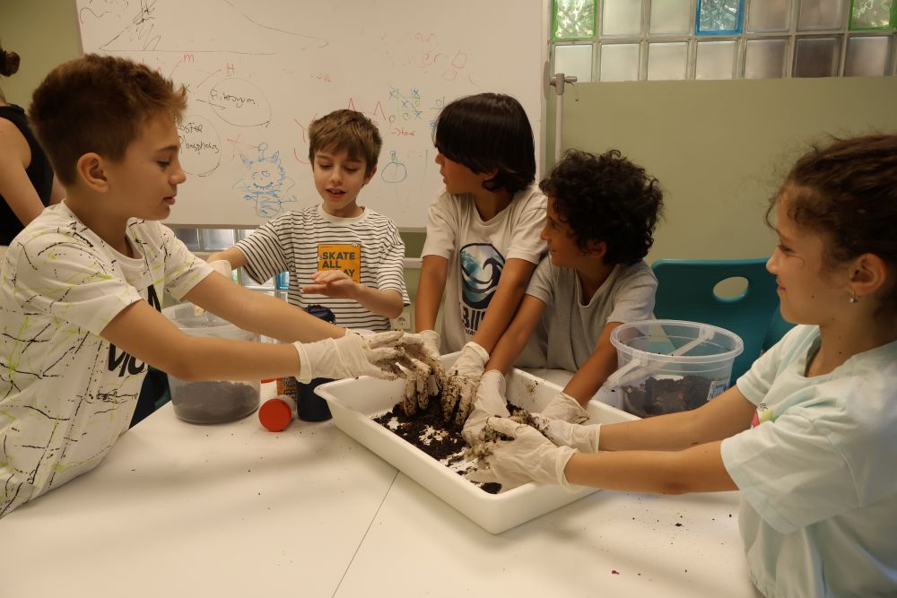 E-Stem, EcosySTEM Projesi