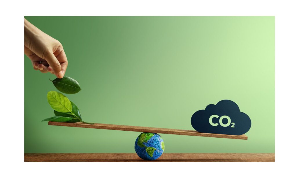 Sınırda Karbon Düzenleme Mekanizması