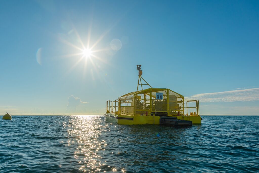 Oneka-Dalga Gücü Enerjisi