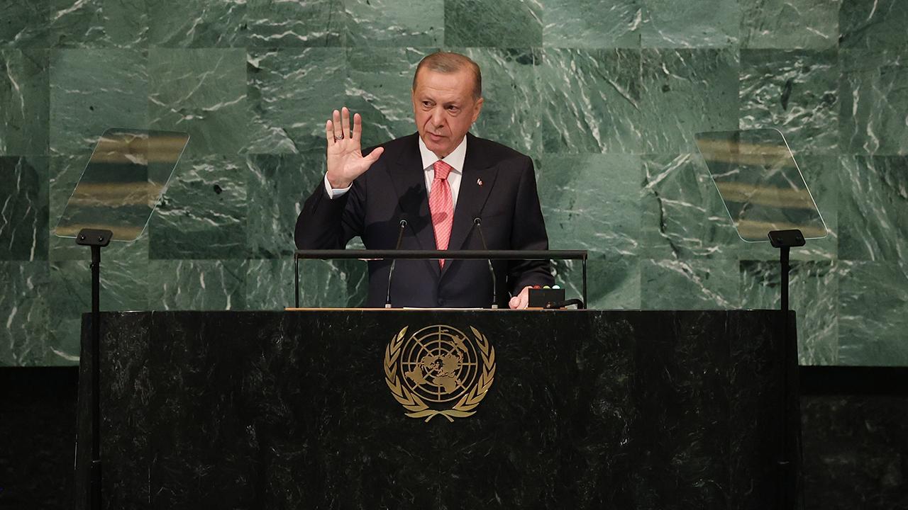 Ulusal Katkı Beyanı