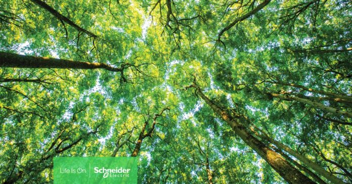 1759924406_Schneider_Electric___s_Evreux_Distribution_Center_Named_Sustainability_Lighthouse_by_World_Economic_Forum (1) Schneider Electric