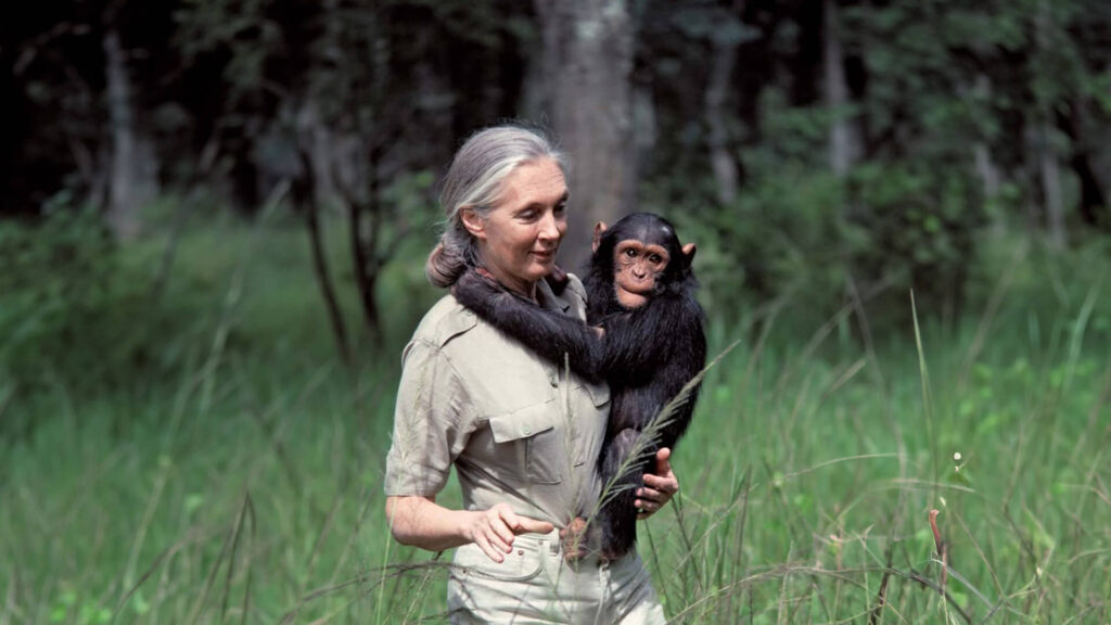Jane Goodall