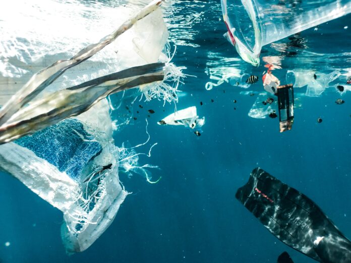 okyanusta plastik kirliliği