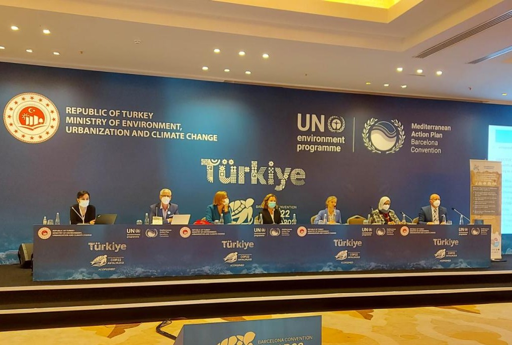 türkiye iklim değişikliği planlaması