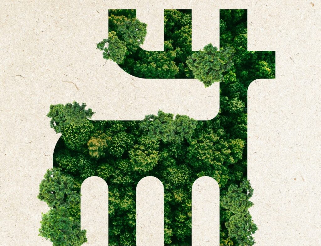 Karaca Karbon-Nötr Teslimat uygulaması