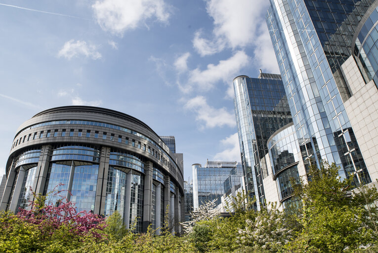 Avrupa Birliği Parlamento