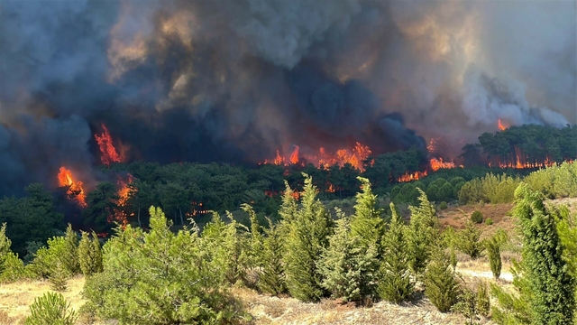 Tema Vakfı 2025 Çevre Raporu