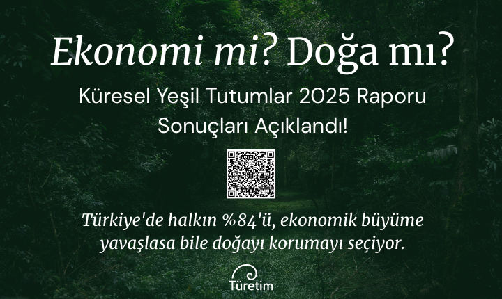 Küresel Yeşil Tutumlar Anketi 2025