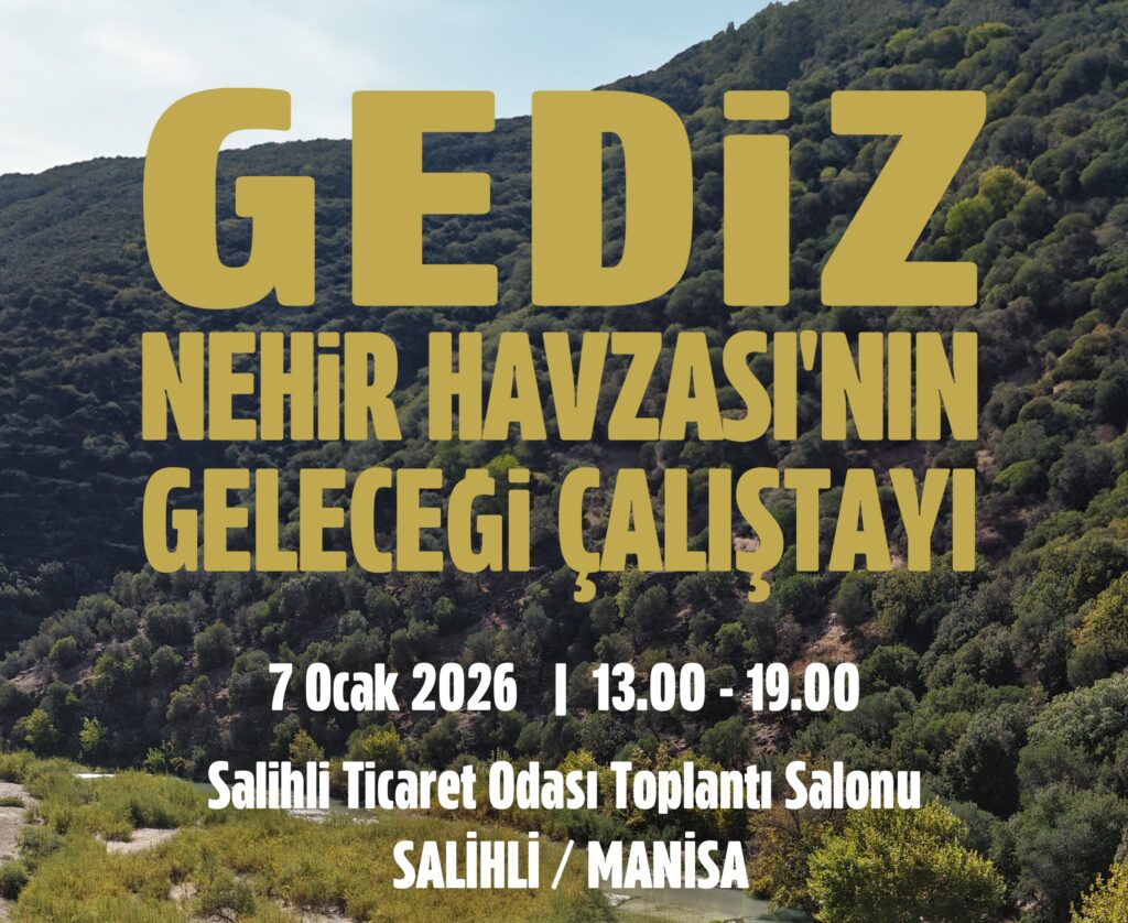 Gediz Nehri Çalıştayı