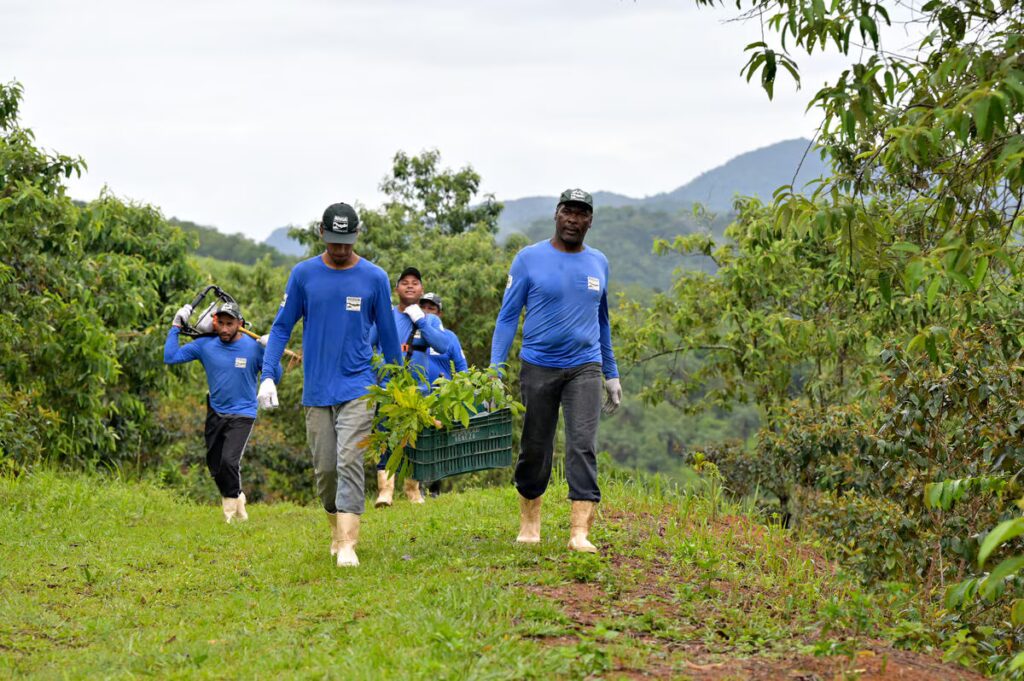 HP ve World Wildlife Foundation Ortak Proje