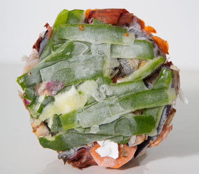 Rhea Gupte-Compost