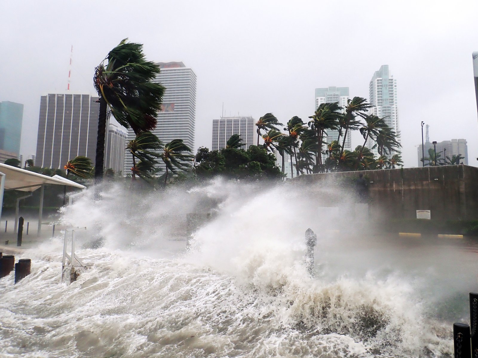 Hurricane Irma Extreme Image of Storm Striking Miami, Florida AON Doğal Afetler Raporu