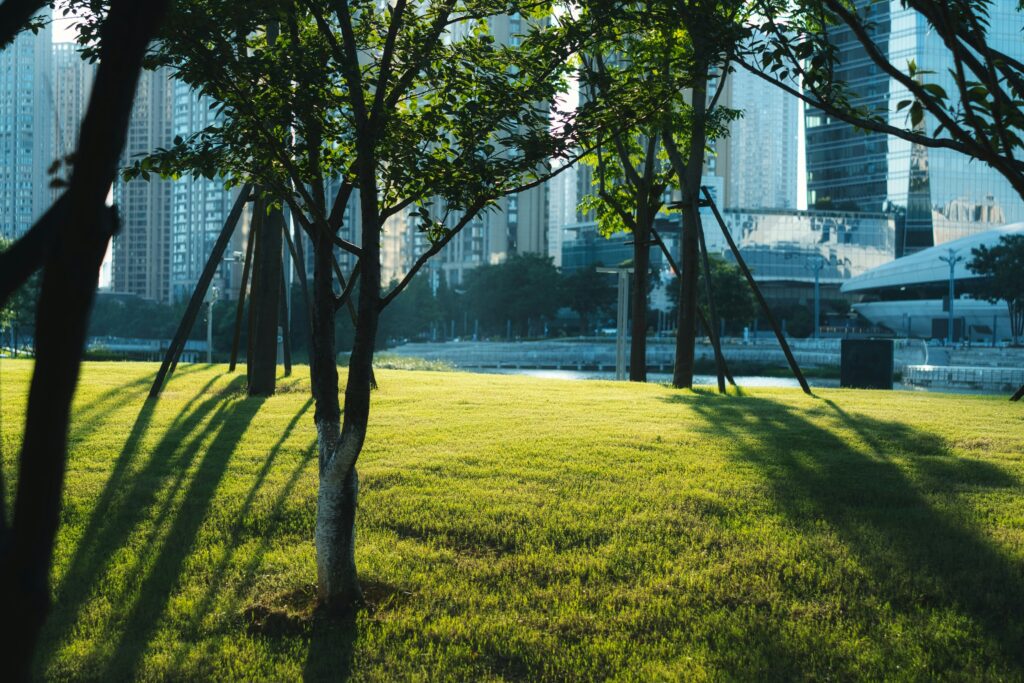 Doğa ve İş Yaşamı Bir Arada