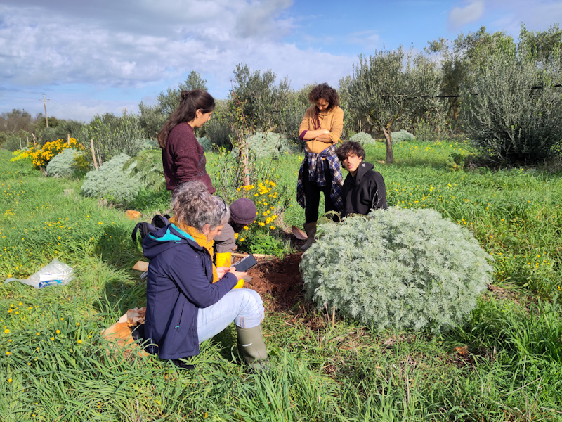 Buğday Derneği Akdeniz’de Tarımsal Ormancılık Haritalaması Başlattı